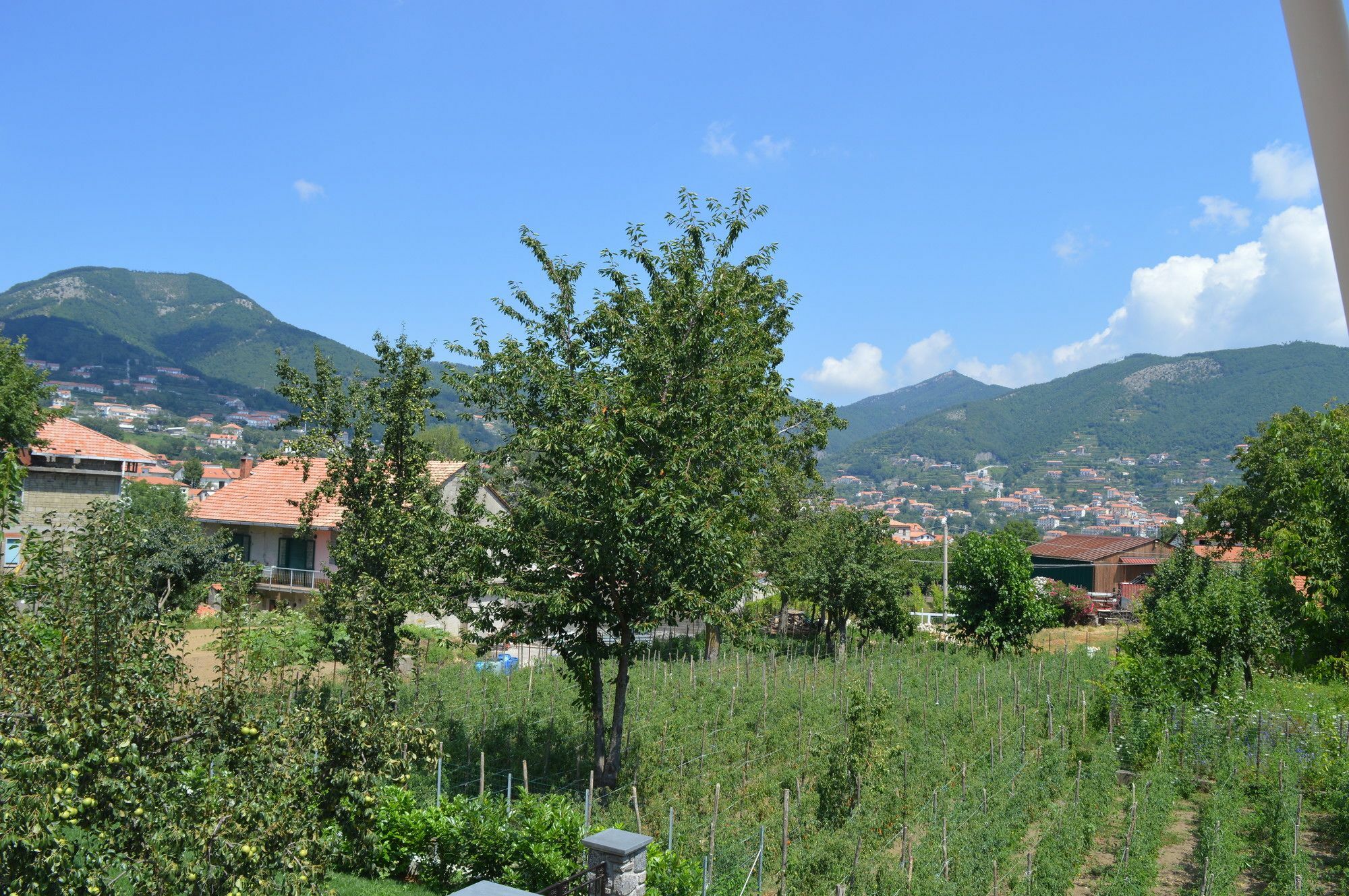 La Casa Dei Fiori - Ospitalita Diffusa Agerola Eksteriør bilde